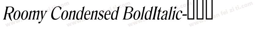 Roomy Condensed BoldItalic字体转换